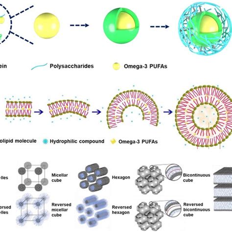 Design Of Omega Pufas Emulsion System Based On Protein And