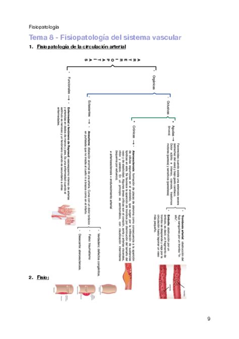 Fisiopatologia Bloque Fisiopatologia Del Sistema Respiratorio Pdf