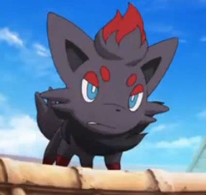 Image - Zorua anime.png | Pokemon Fan Fiction Wiki | FANDOM powered by ...