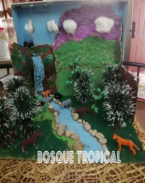 Maqueta De Bosque Tropical Para Primaria Rainforest Crafts Diorama