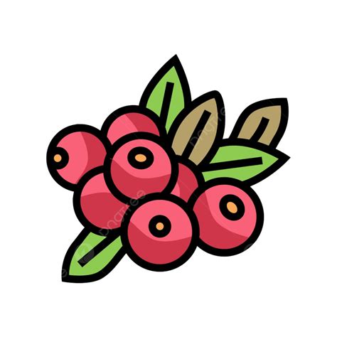 Cranberry Icon Vector Png Vector Psd And Clipart With Transparent