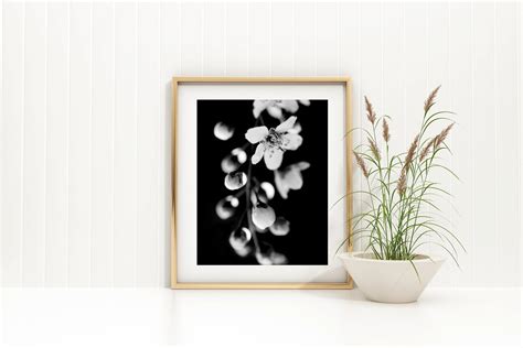 Black and White Flower Photography Instant Download, Letter Size 8.5x11 ...