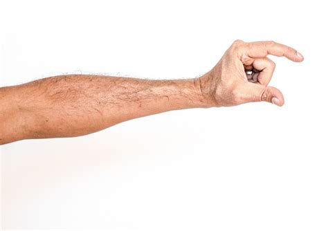 latar belakang putih tangan foto gratis  pixabay pixabay