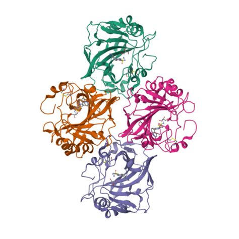 RCSB PDB 8CO0 Three Dimensional Structure Of Human Carbonic