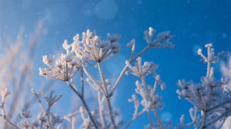 Widerspr Chliche Wetter Prognosen Steht Uns Der K Lteste Oder W Rmste