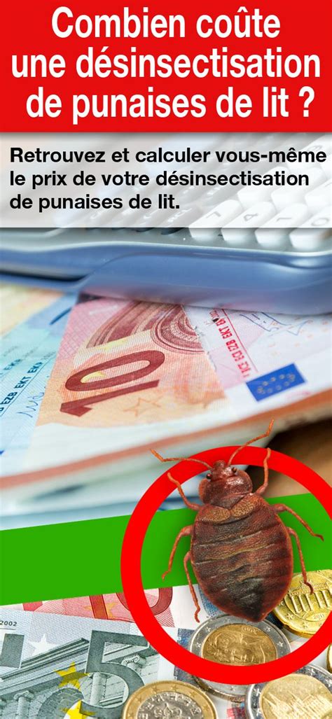 Combien Co Te Une D Sinsectisation De Punaises De Lit Punaises De