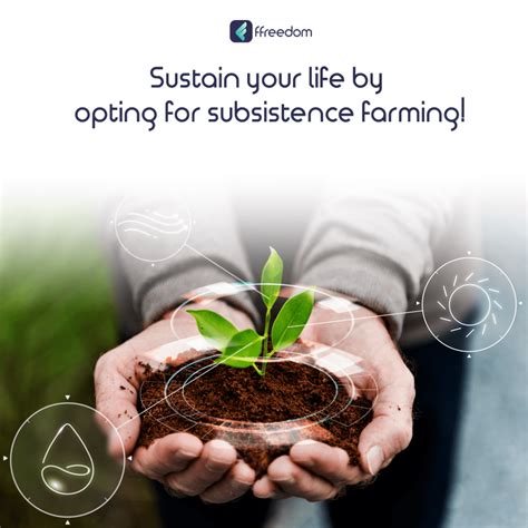 How To Build A Self Sufficient Career By Subsistence Farming A Guide