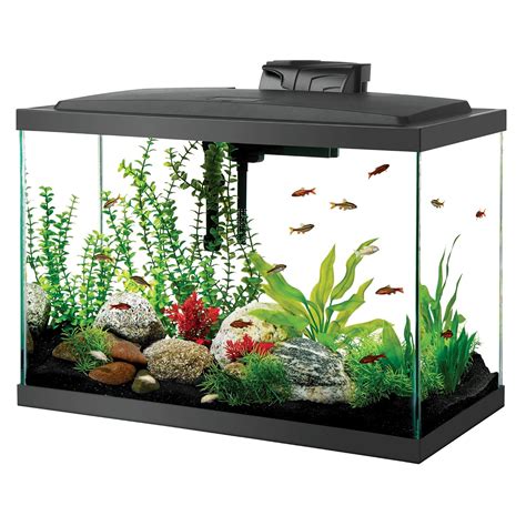 Small Glass Fish Tank With Filter ~ Aquarium Planer 2.0 Kostenlos ...