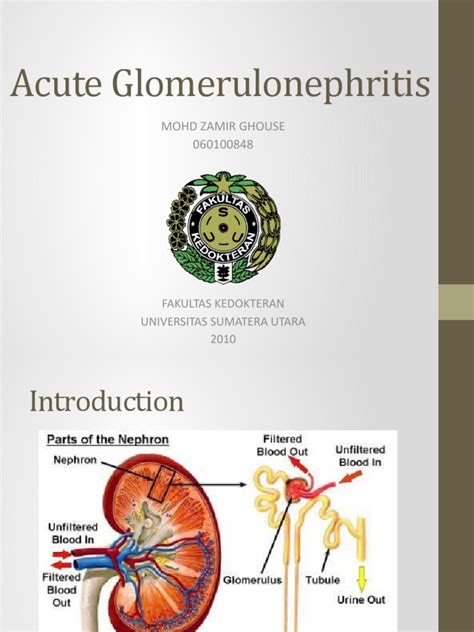 Acute Glomerulonephritis