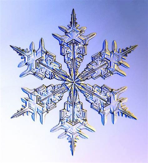 The Beauty Of A Snowflake The Adirondack Almanack