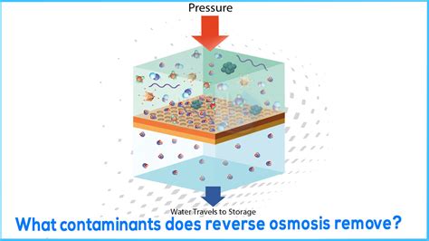 What Contaminants Does Reverse Osmosis Plants Remove