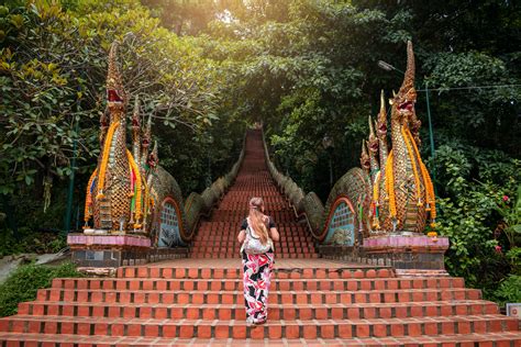 CHIANG MAI ĐÓA HỒNG PHƯƠNG BẮC