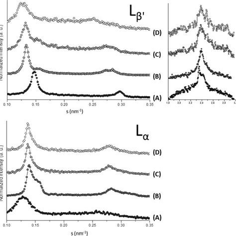 X Ray Diffraction Patterns Saxs And Waxs At And C For Dppc At