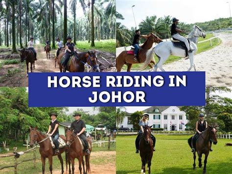 Top 8 Horse Riding In Johor Updated