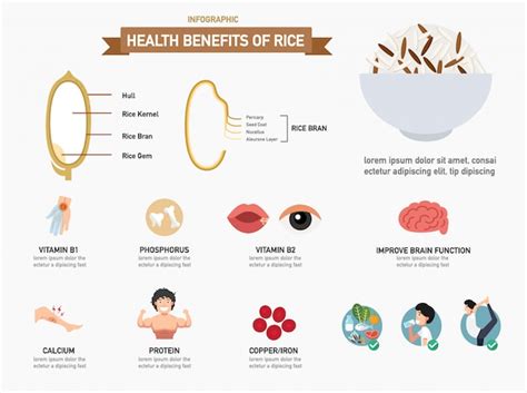 Health Benefits Of Rice Infographics Informative Poster Ready To Print