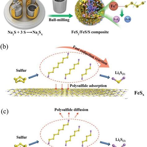 A Schematic Representation Of The Synthesis Of Fes2fess Composites