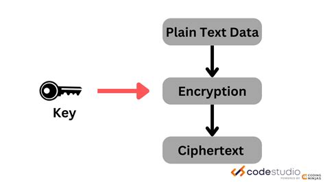 What Are Basic Cryptography Tools Naukri Code