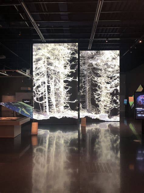 Museum Planning LLC - Immersive STEM