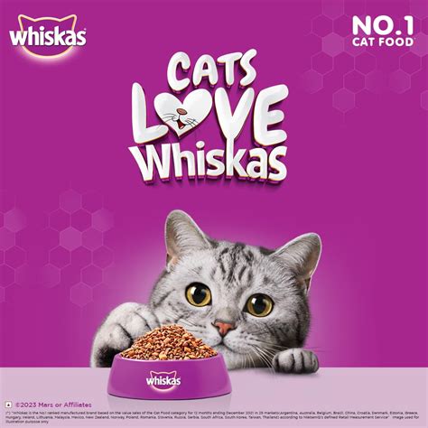 Whiskas Kitten Months Dry Cat Food Food Ocean Fish Kg Pack