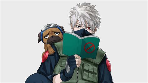 Download Cute Kakashi And Pakkun Reading Forbidden Book Wallpaper