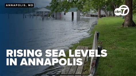 Annapolis Mayor Vows To Protect City From Rising Sea Levels YouTube