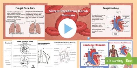 Paket Bahan Ajar Sistem Peredaran Darah Tubuh Manusia