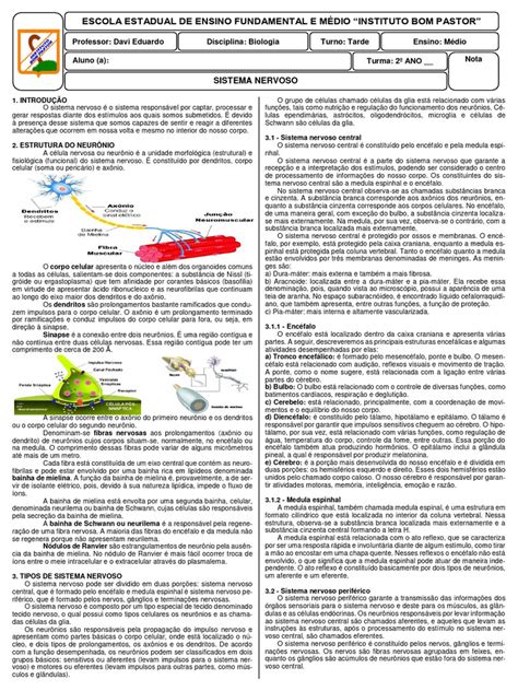 2024 Ibp 2º Ano 07 Sistema Nervoso Download Grátis Pdf Nervo