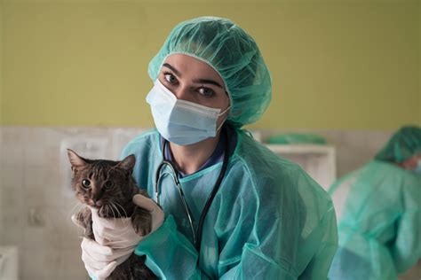 Dia Mundial da Medicina Veterinária