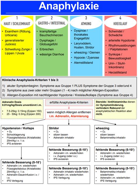 Kispi Wiki Allergische Reaktion Und Anaphylaxie