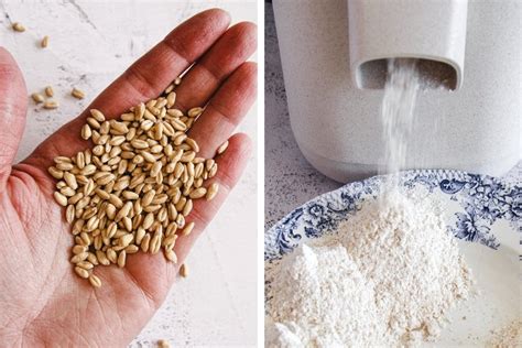 Milling Flour At Home A Beginner S Guide Aberle Home