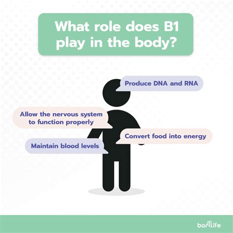 Learn About Vitamin B1 After Bariatric Surgery Bari Life