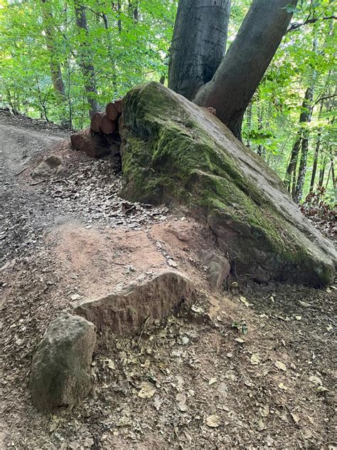 Trailnetz Saarbrücken 2023 dienstag