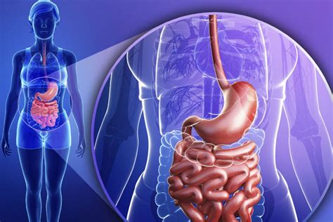 C Mo S Diagn Stica La Enfermedad De Crohn