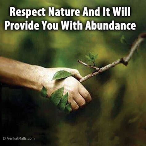 Quotes About Respecting Nature. QuotesGram