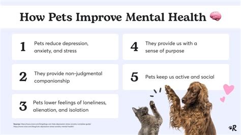 How Cats Can Help With Depression Stress Anxiety And Mental Health