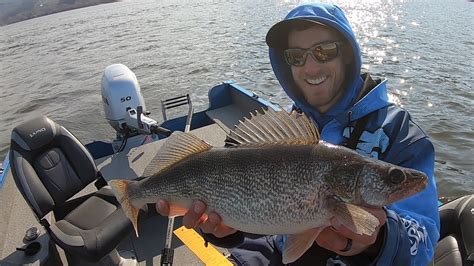 Fast Mississippi River Walleye Action By The Lock And Dam Youtube