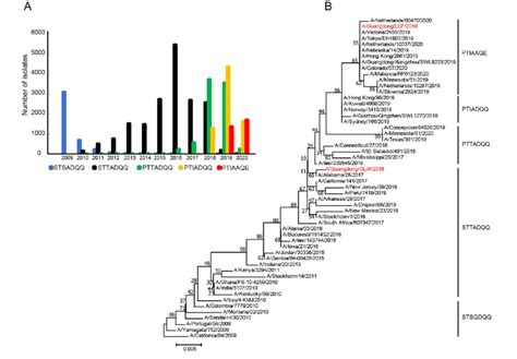 Evolution Of Hemagglutinin Protein Of Influenza A H1N1 Pdm09 Virus A