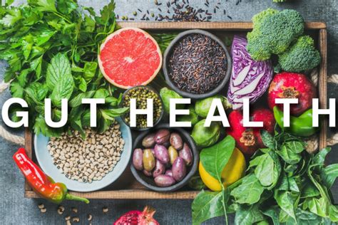 Understanding Gut Health Importance Signs And Solutions For Optimal Wellbeing