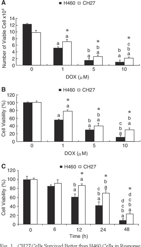 Figure 1 From Mechanisms Underlying Lung Resistance Related Protein