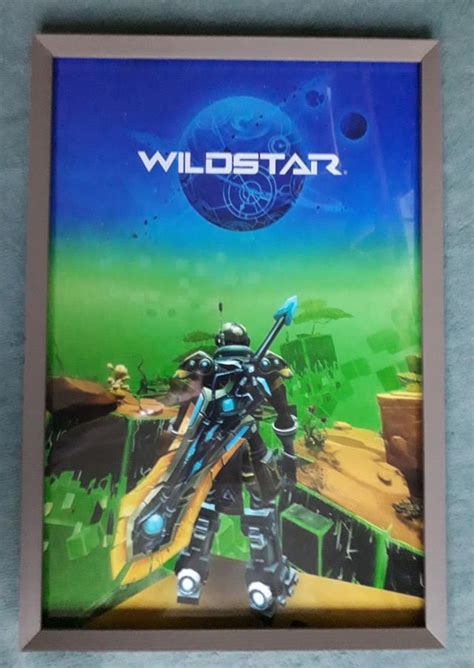 Poster Of My Character In Datascape 30x45cm Rwildstar