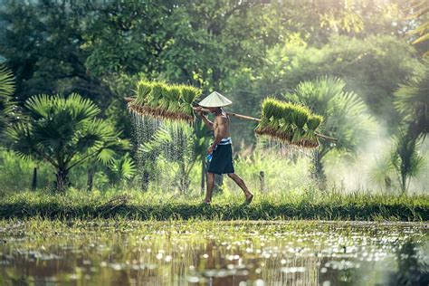 Skryd Iai I Vilniaus Vietnam Per V Kal Das Ir Naujuosius Nuo