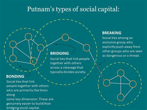 Infographics On Social Capital Othering And Belonging Institute