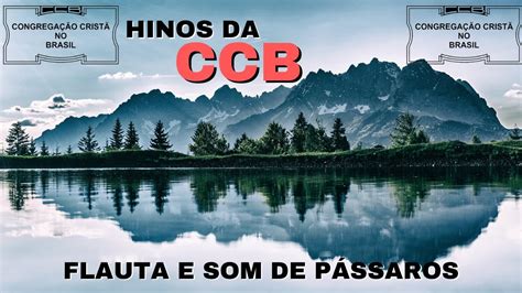 Hinos Ccb Flauta Som De P Ssaros Youtube