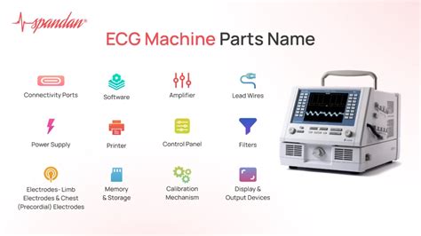 ECG machine Parts Name