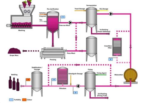 Comprehensive Guide Commercial Wine Making Process