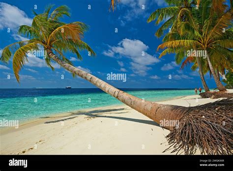 Vilamendhoo Maldives A Tropical Island In The Indian Ocen Stock Photo