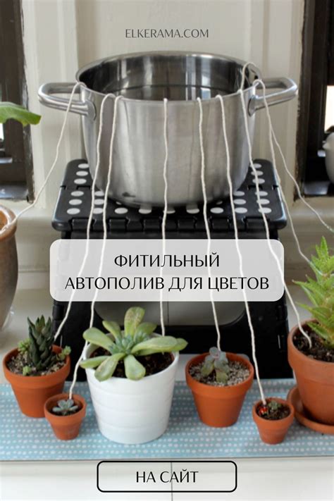 Фитильный автополив для комнатных цветов