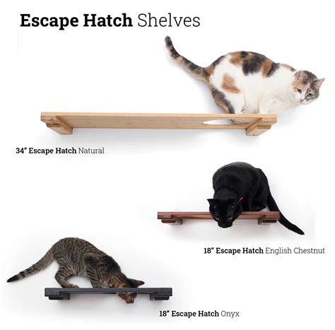 Wall Mounted Cat Shelf Catastrophic Creations