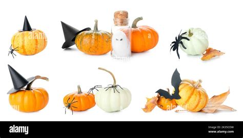 Collage of autumn pumpkins with Halloween decorations on white ...