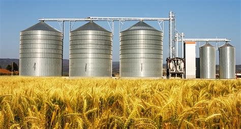 Essential Tips To Improve The Efficiency Of Grain Storage Systems